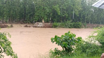 Ganga overflowing in Bijnor, water entered villages of Patna