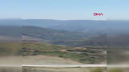 Suriye sınırında orman yangını