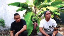 The Rain - Aku Siap! (Official Lyric Video)