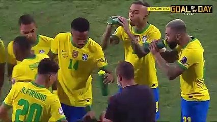 Brazil vs Ecuador 1-1 - All Goals & Extended Highlights - 2021