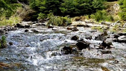 Relaxing Music Sleep __ Musik Pengantar Tidur __ Suara air sungai mengalir + Instrumen Piano