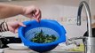 Frying Fish And Boiling Spleen Amaranth(kalunay)