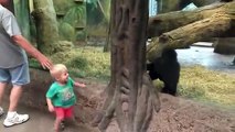 Küçük çocuk ile gorilin saklambaç oyunu