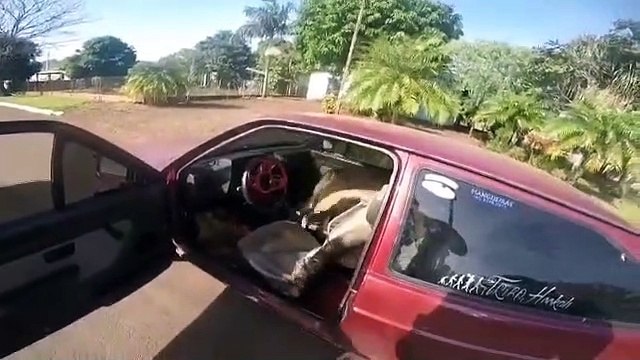 Gol com placas de Cascavel é aprendido com maconha em Santa Helena; homem foi detido