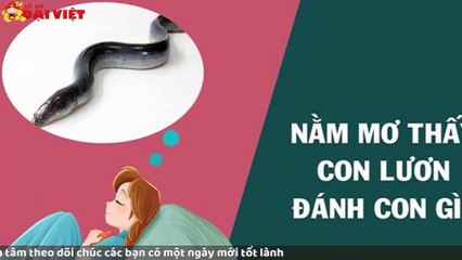 Mơ thấy con lươn có tỉ lệ trúng cao nhất