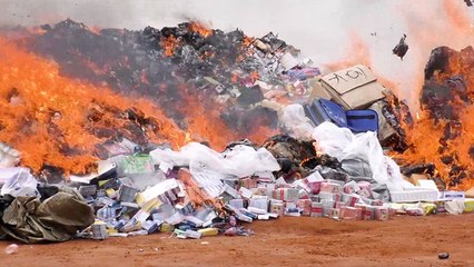 Sécurité : 14 tonnes de drogues et de faux produits incinérés