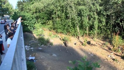 SARIYER'DE "DOMUZ İZLEME" TRİBÜNÜ