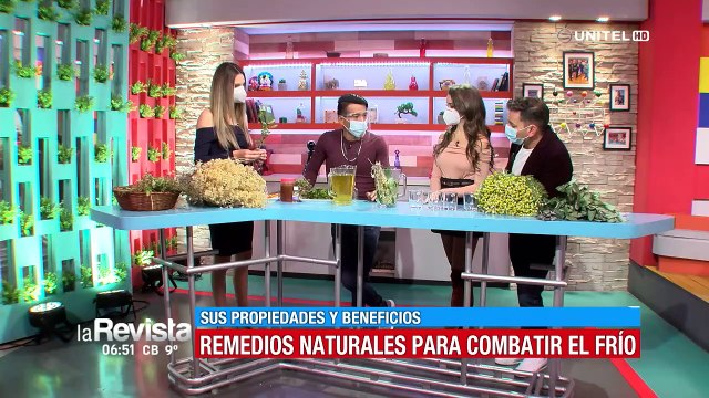 Conoce qué plantas medicinales puedes utilizar para subir las defensas en esta época de frío