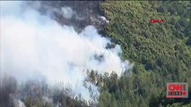 Denizli'de yerleşim yerleri yakınında orman yangını