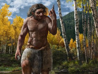 El hombre dragón, Homo Longi