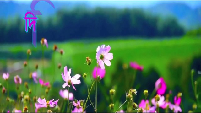 দিরিলিস আর্তগোল ১ ❇ Dirilis Ertugrul 1 ❇ The Rise of Ottoman Empire ❇ Turkish Series Resurrection Ertugrul