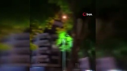 Otel görevlileri valinin ismini kullanarak ağaçları kesti