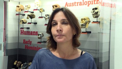 В Израиле найдены останки нового вида древних людей