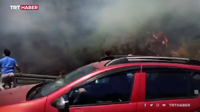 Muğla'da ormanlık alanda çıkan yangın kontrol altına alındı