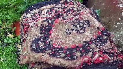 Chuva congelada em Urupema