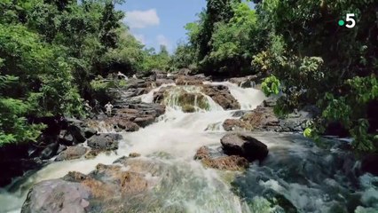 Suriname, la rivière sans nom et la chute d'eau inconnue