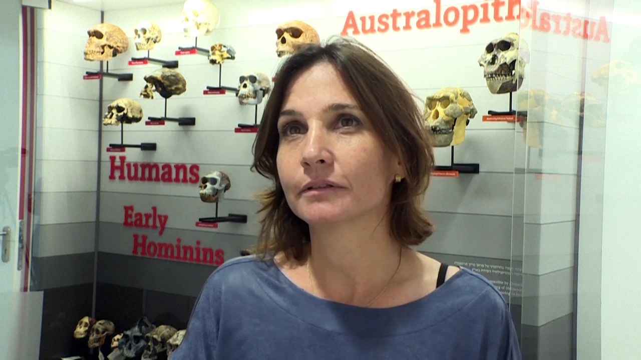 Neue Urmenschenart in Israel entdeckt