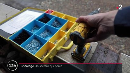 Consommation : le secteur du bricolage connaît une hausse des ventes