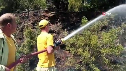 Ula'da ormanlık alanda yangın