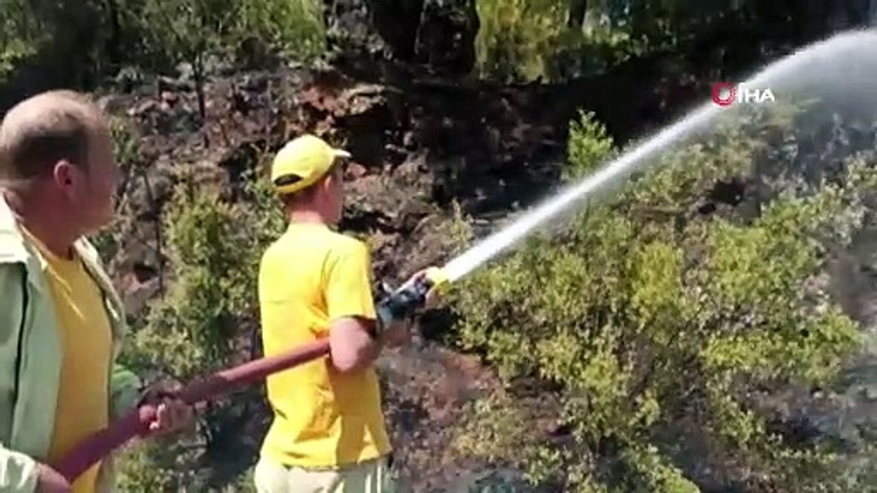 Ula'da ormanlık alanda yangın