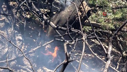 Bingöl Valiliği: “Yaklaşık 2 bin-2 bin 500 hektar alanın yangından etkilendiği değerlendirilmektedir”