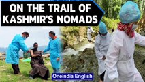 Following Kashmir's nomads | Taking Covid vaccine drive to remote pastures | Oneindia News