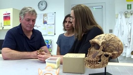 El Homo Nesher Ramla da un vuelco a la historia de la evolución