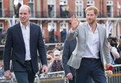 Prince Harry and Prince William Reportedly Started 