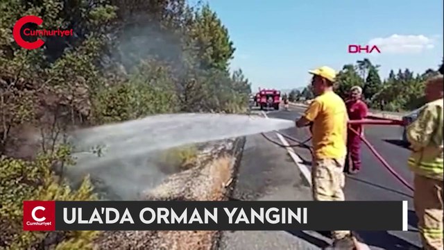 Ula'da orman yangını: Evler tahliye edildi