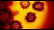 Highly contagious Delta coronavirus variant spreading fast in California | Moon TV News