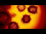 Highly contagious Delta coronavirus variant spreading fast in California | Moon TV News