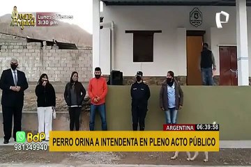 ¡Se robó la atención! Perro orina pies a funcionaria en pleno acto público