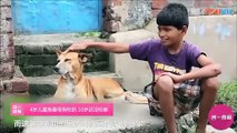 طفل هندى مدمن رضاعه  حليب الكلاب يصطاد الكلاب من الشارع