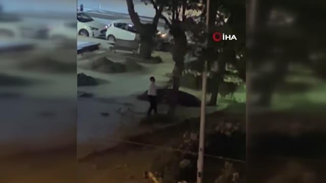 Ağaçları kesen otel görevlileri için belediye ekipleri harekete geçti