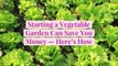 Starting a Vegetable Garden Can Save You Money-Here's How
