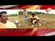Farmers Observe Akshaya Tritiya In Odisha Amid Covid Restrictions | Updates From Bhubaneswar