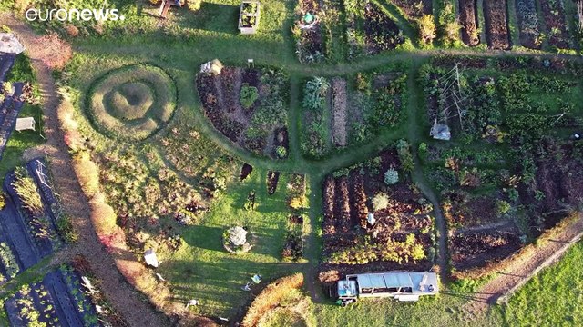 EU reforms to common agricultural policy branded 'green washing'