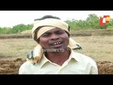 Farmers Celebrate Akshaya Tritiya In Odisha's Bolangir