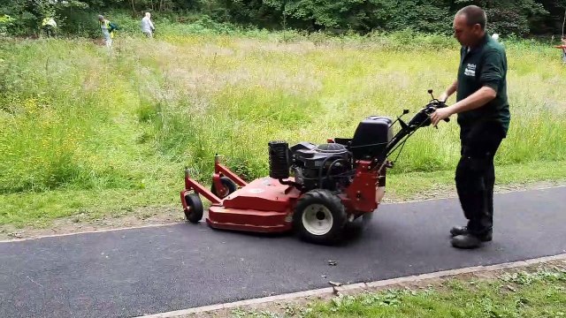 Bingham Park windflowers area created by volunteers