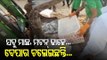 COVID Norms Violation | Meat Shops Sealed In Rourkela | Odisha