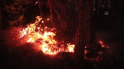 Orman yangını kontrol altına alındı