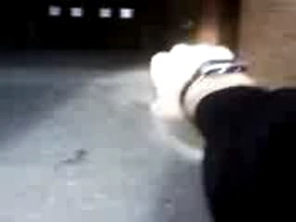 aventure du noob part 1