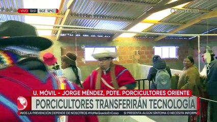 Porcicultores cruceños transferirán tecnología y enseñarán a “mejorar la crianza de los cerdos”