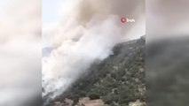 Son dakika haberi: Siverek'te ormanlık alanda yangın
