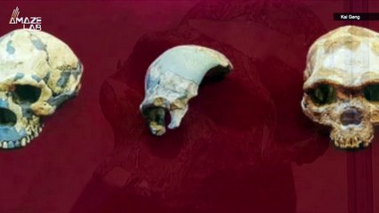 Neanderthals Are Likely Not Our Closest Ancestors