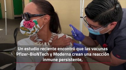 Las vacunas Pfizer y Moderna probablemente produzcan inmunidad duradera, según un estudio