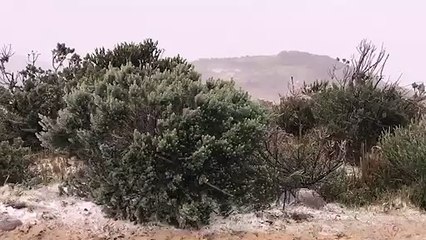 Neve no meio da tarde surpreende turistas em Urupema