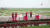 Çin'de Kızıl Plaj'da müzik festivali