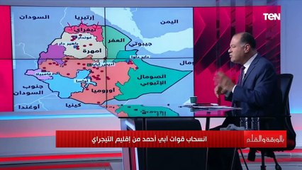 «الديهي»: ما يحدث في تيجراي بتر لأحد أيادي الدولة الإثيوبية