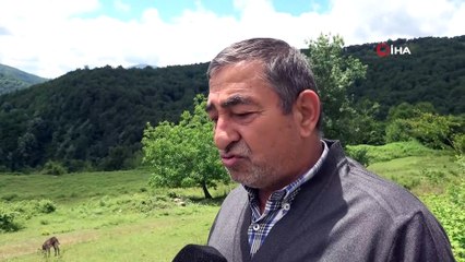 Bir litresi 100 TL'den satılıyor, pandemi onu da etkiledi